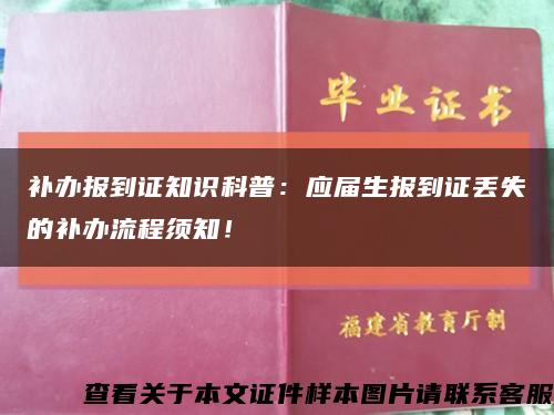 补办报到证知识科普：应届生报到证丢失的补办流程须知！缩略图