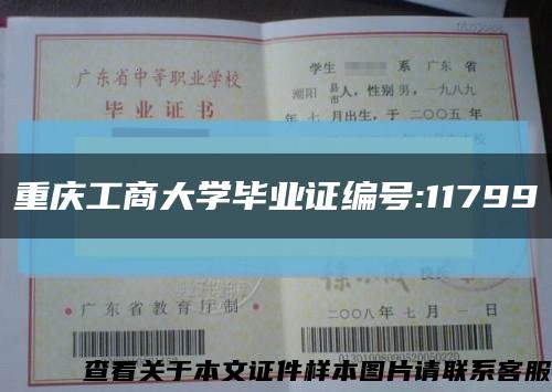 重庆工商大学毕业证编号:11799缩略图