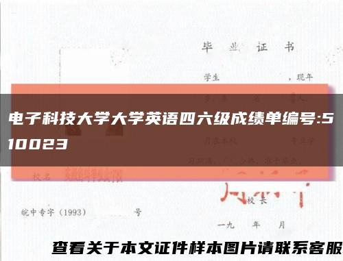 电子科技大学大学英语四六级成绩单编号:510023缩略图