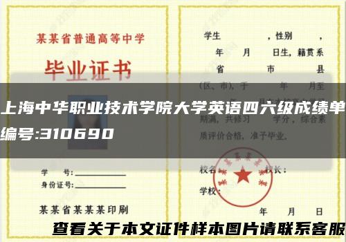 上海中华职业技术学院大学英语四六级成绩单编号:310690缩略图