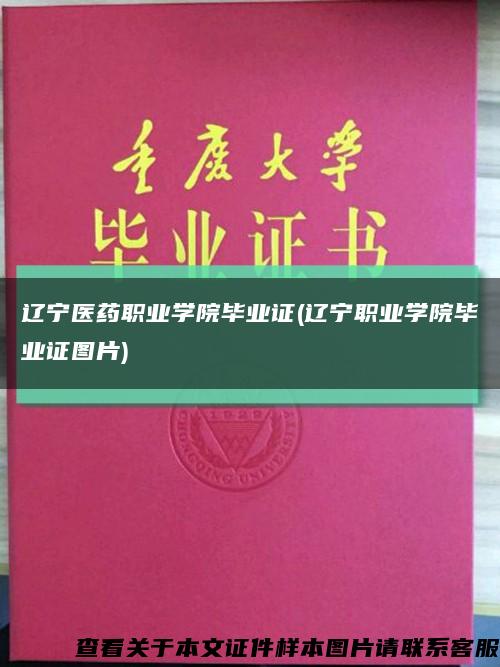 辽宁医药职业学院毕业证(辽宁职业学院毕业证图片)缩略图