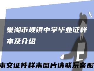 巢湖市坝镇中学毕业证样本及介绍缩略图