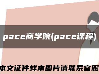 pace商学院(pace课程)缩略图