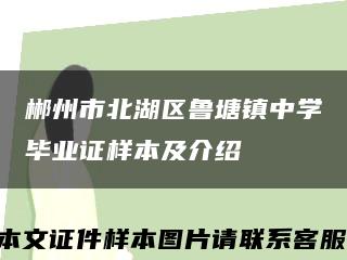 郴州市北湖区鲁塘镇中学毕业证样本及介绍缩略图