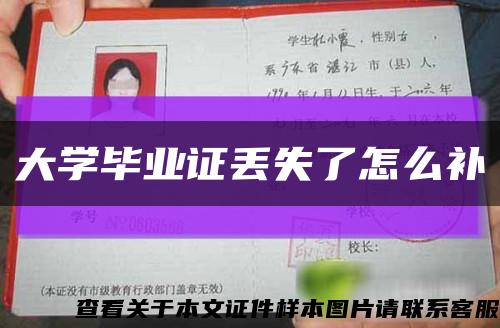 大学毕业证丢失了怎么补缩略图