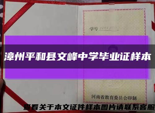 漳州平和县文峰中学毕业证样本缩略图
