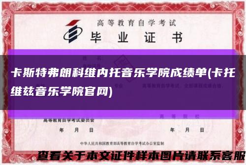 卡斯特弗朗科维内托音乐学院成绩单(卡托维兹音乐学院官网)缩略图
