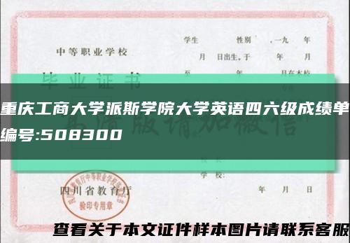 重庆工商大学派斯学院大学英语四六级成绩单编号:508300缩略图
