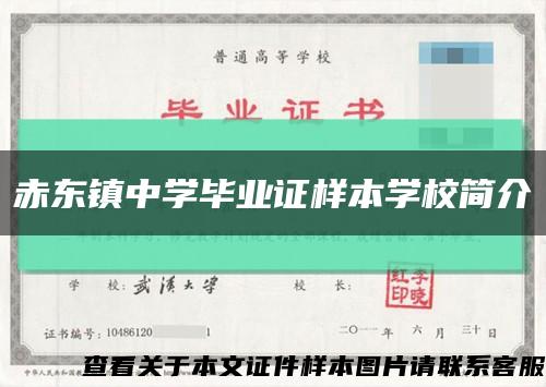 赤东镇中学毕业证样本学校简介缩略图