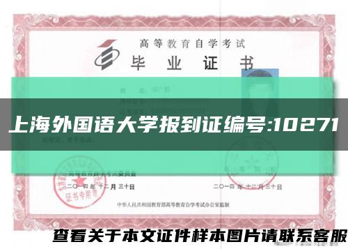 上海外国语大学报到证编号:10271缩略图