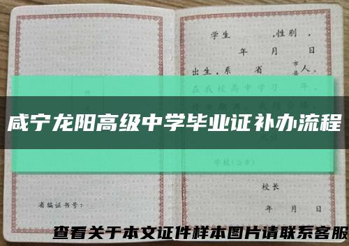 咸宁龙阳高级中学毕业证补办流程缩略图