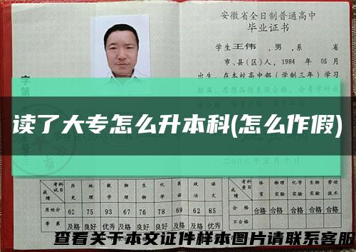 读了大专怎么升本科(怎么作假)缩略图