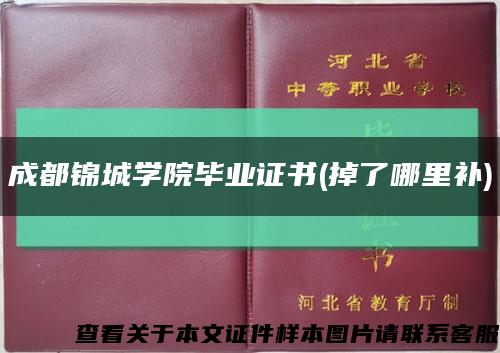 成都锦城学院毕业证书(掉了哪里补)缩略图