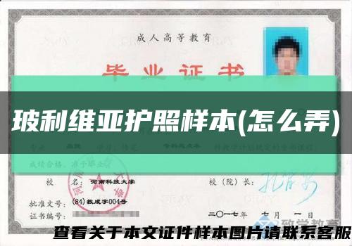 玻利维亚护照样本(怎么弄)缩略图