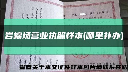 岩棉场营业执照样本(哪里补办)缩略图
