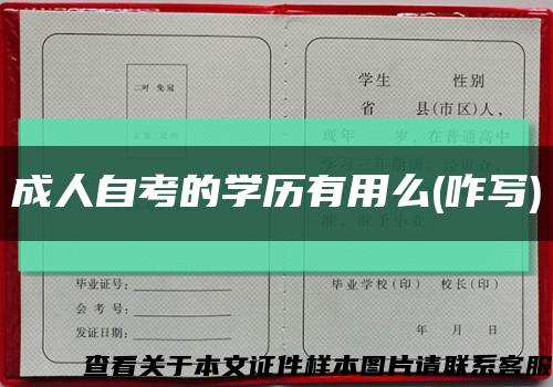 成人自考的学历有用么(咋写)缩略图