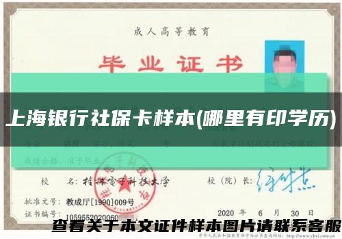 上海银行社保卡样本(哪里有印学历)缩略图
