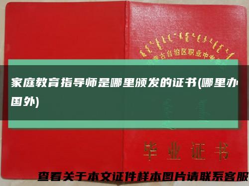 家庭教育指导师是哪里颁发的证书(哪里办国外)缩略图