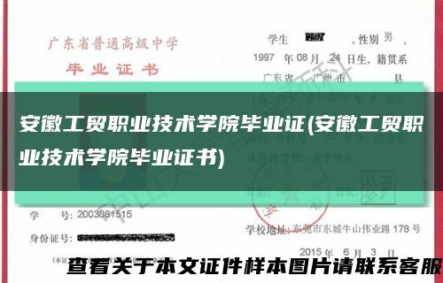 安徽工贸职业技术学院毕业证(安徽工贸职业技术学院毕业证书)缩略图
