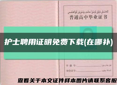 护士聘用证明免费下载(在哪补)缩略图