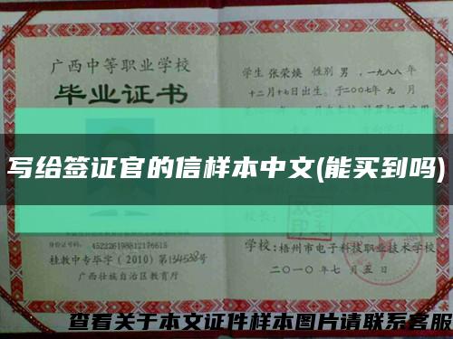 写给签证官的信样本中文(能买到吗)缩略图