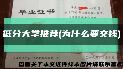 低分大学推荐(为什么要交钱)缩略图