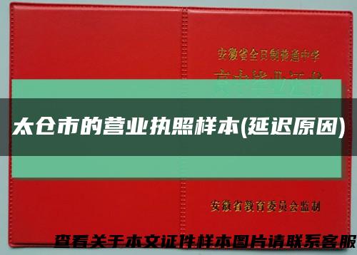 太仓市的营业执照样本(延迟原因)缩略图