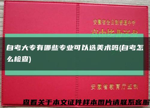自考大专有哪些专业可以选美术吗(自考怎么检查)缩略图