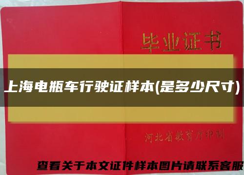 上海电瓶车行驶证样本(是多少尺寸)缩略图