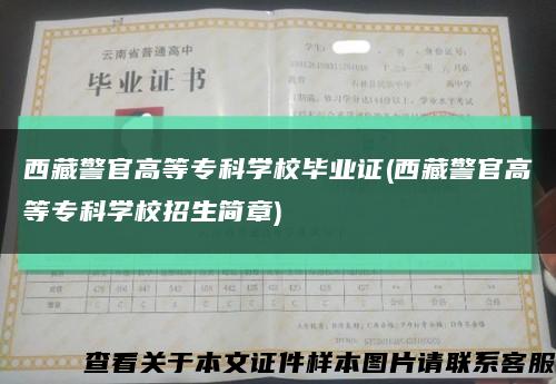 西藏警官高等专科学校毕业证(西藏警官高等专科学校招生简章)缩略图