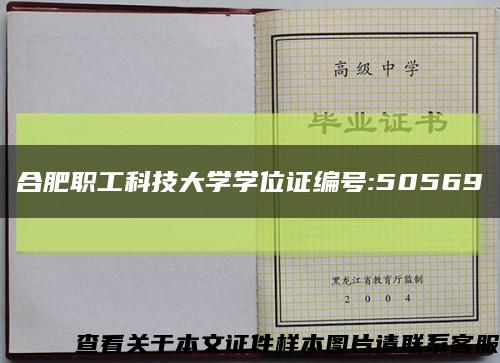 合肥职工科技大学学位证编号:50569缩略图
