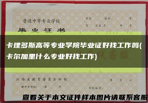 卡理多斯高等专业学院毕业证好找工作吗(卡尔加里什么专业好找工作)缩略图