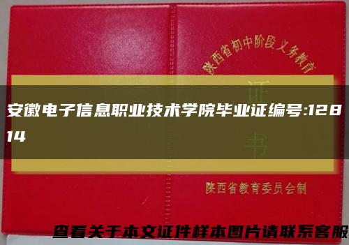 安徽电子信息职业技术学院毕业证编号:12814缩略图