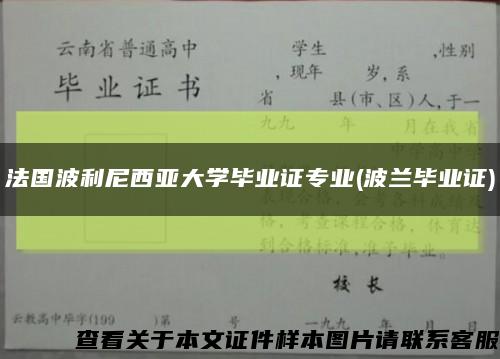 法国波利尼西亚大学毕业证专业(波兰毕业证)缩略图