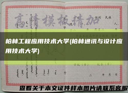 柏林工程应用技术大学(柏林通讯与设计应用技术大学)缩略图