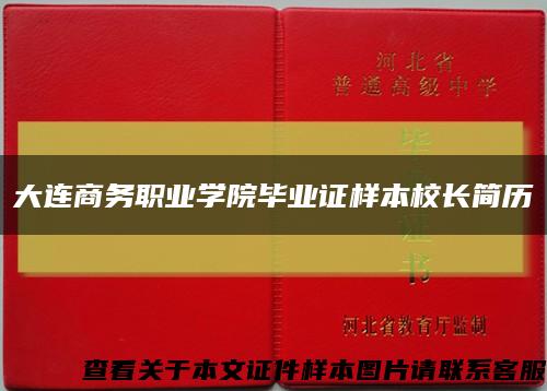 大连商务职业学院毕业证样本校长简历缩略图