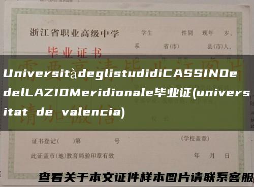 UniversitàdeglistudidiCASSINOedelLAZIOMeridionale毕业证(universitat de valencia)缩略图