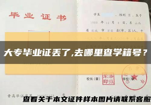 大专毕业证丢了,去哪里查学籍号？缩略图