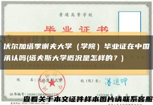 伏尔加塔季谢夫大学（学院）毕业证在中国承认吗(塔夫斯大学概况是怎样的？)缩略图