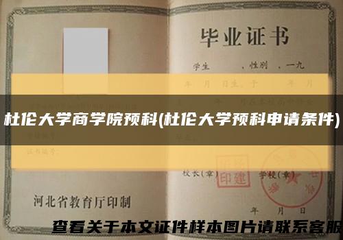 杜伦大学商学院预科(杜伦大学预科申请条件)缩略图