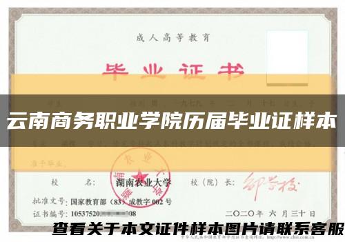 云南商务职业学院历届毕业证样本缩略图