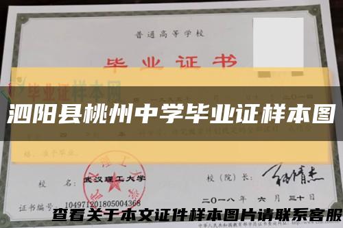 泗阳县桃州中学毕业证样本图缩略图