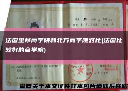法国里昂商学院和北方商学院对比(法国比较好的商学院)缩略图