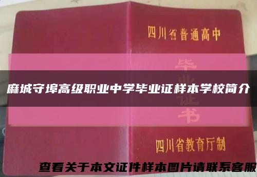 麻城守埠高级职业中学毕业证样本学校简介缩略图