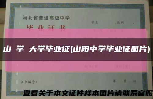 山陽学園大学毕业证(山阳中学毕业证图片)缩略图
