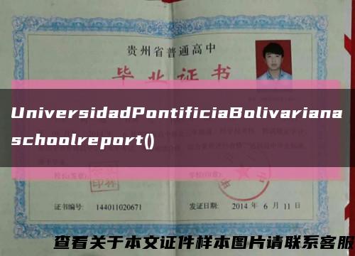 UniversidadPontificiaBolivarianaschoolreport()缩略图