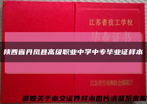 陕西省丹凤县高级职业中学中专毕业证样本缩略图