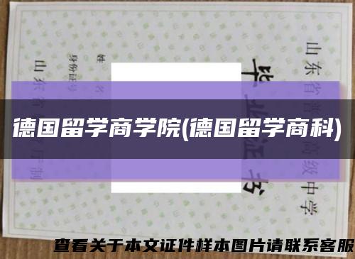 德国留学商学院(德国留学商科)缩略图