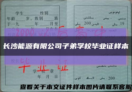 长沙能源有限公司子弟学校毕业证样本缩略图