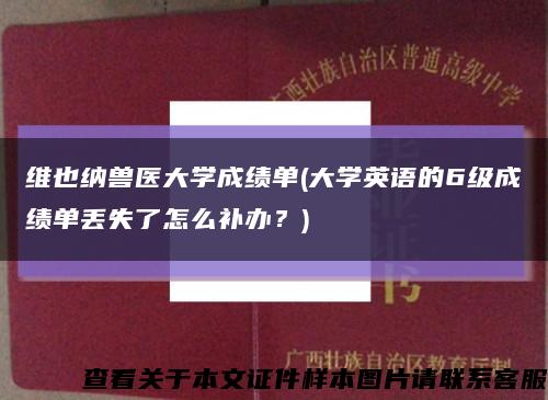 维也纳兽医大学成绩单(大学英语的6级成绩单丢失了怎么补办？)缩略图